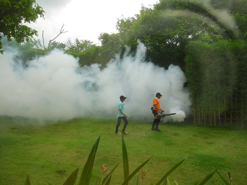 true pest control gold coast